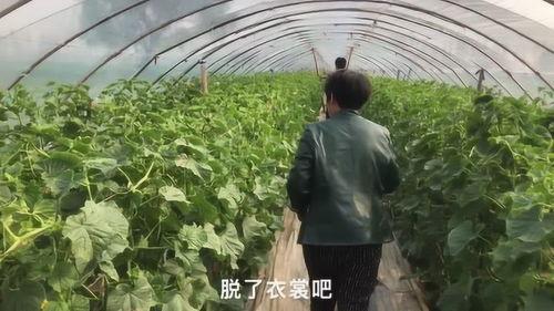 网红农村女孩吃瓜图片大全,网红农村女孩吃瓜图片大盘点 第2张 网红农村女孩吃瓜图片大全,网红农村女孩吃瓜图片大盘点 第2张