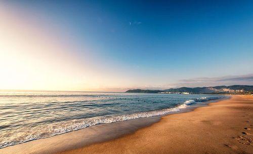海南海边最新消息爆料,神秘海岛发现珍稀生物,旅游胜地再掀热潮 第1张 海南海边最新消息爆料,神秘海岛发现珍稀生物,旅游胜地再掀热潮 第1张